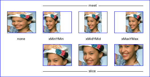 Click to see the example script preserve_aspect_ratio example