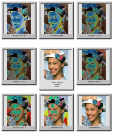 preview example